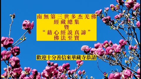 2024年7月 舊金山華藏寺南無韋馱菩薩聖誕法會