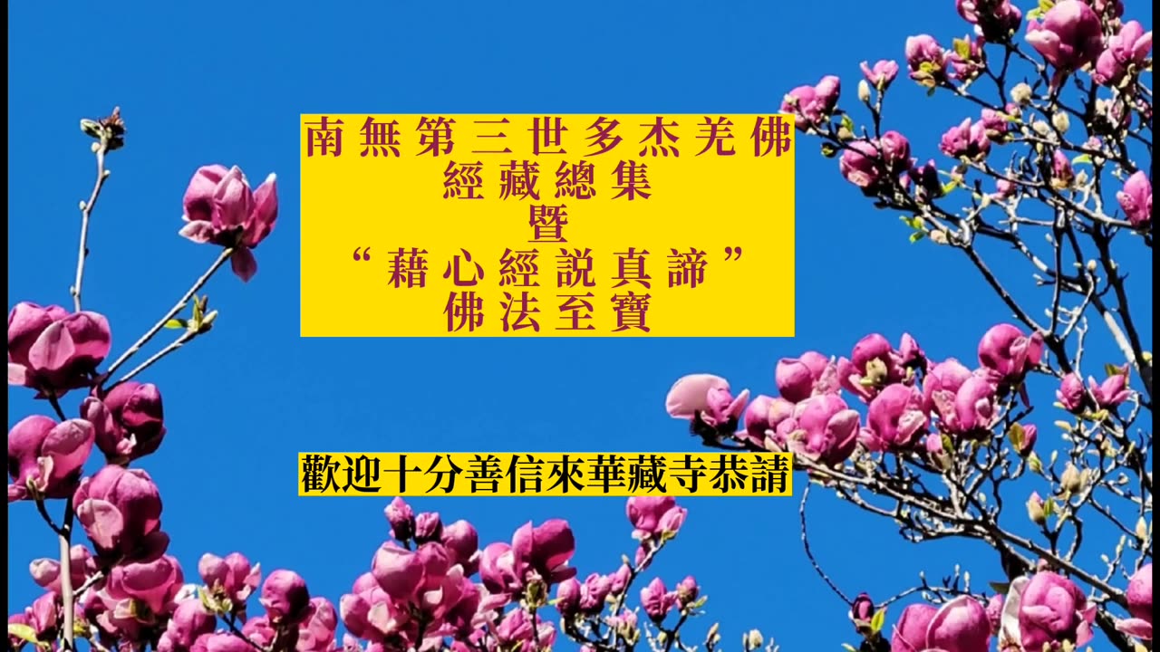 2024年7月 舊金山華藏寺南無韋馱菩薩聖誕法會