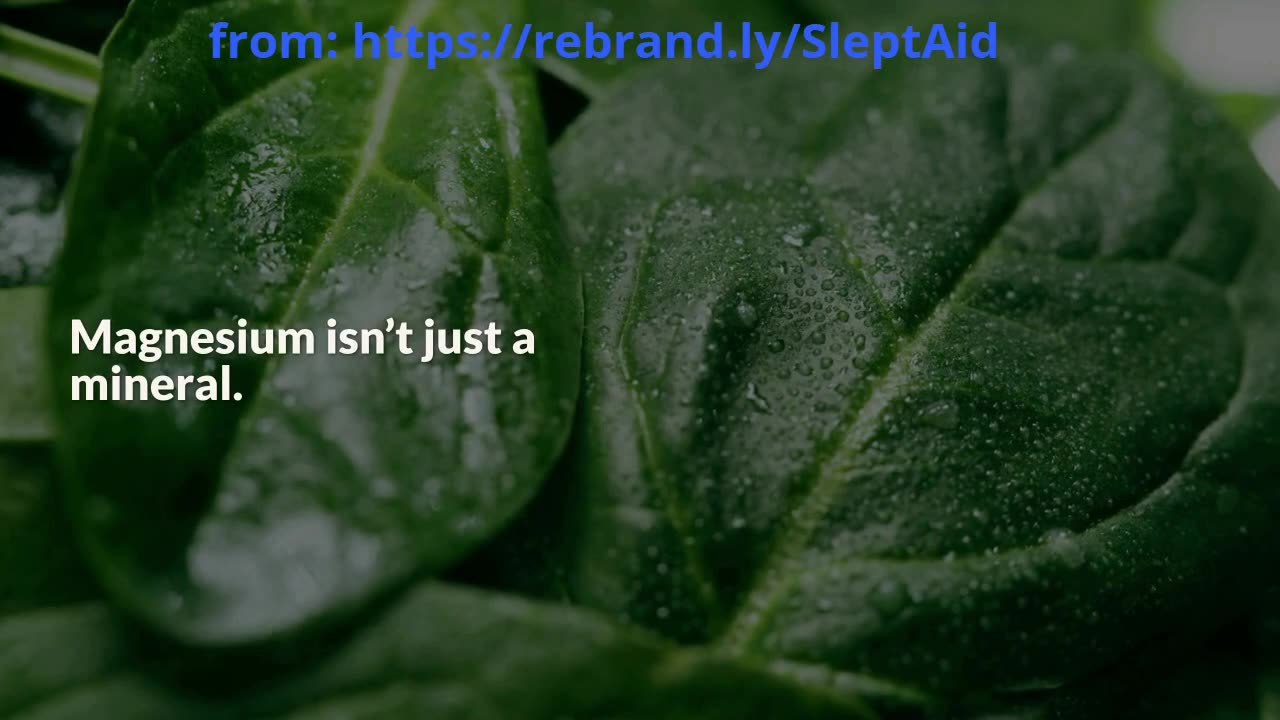 Why Magnesium Is Your Best Ally in the Battle Against Stress