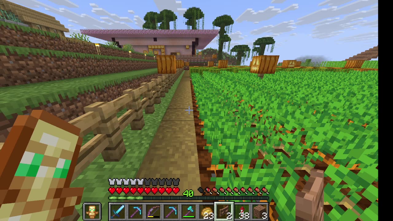 Minecraft And Mind Craft