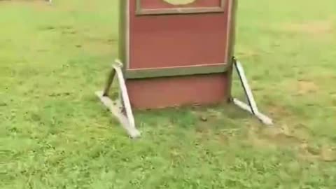 Happy Puppy Jump Training 🐶💨 Cutest Workout Ever!