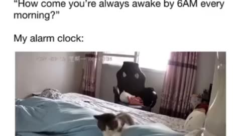 The Funny Reason I Am Always Awake By 6 AM #shorts #tiktok #comedy