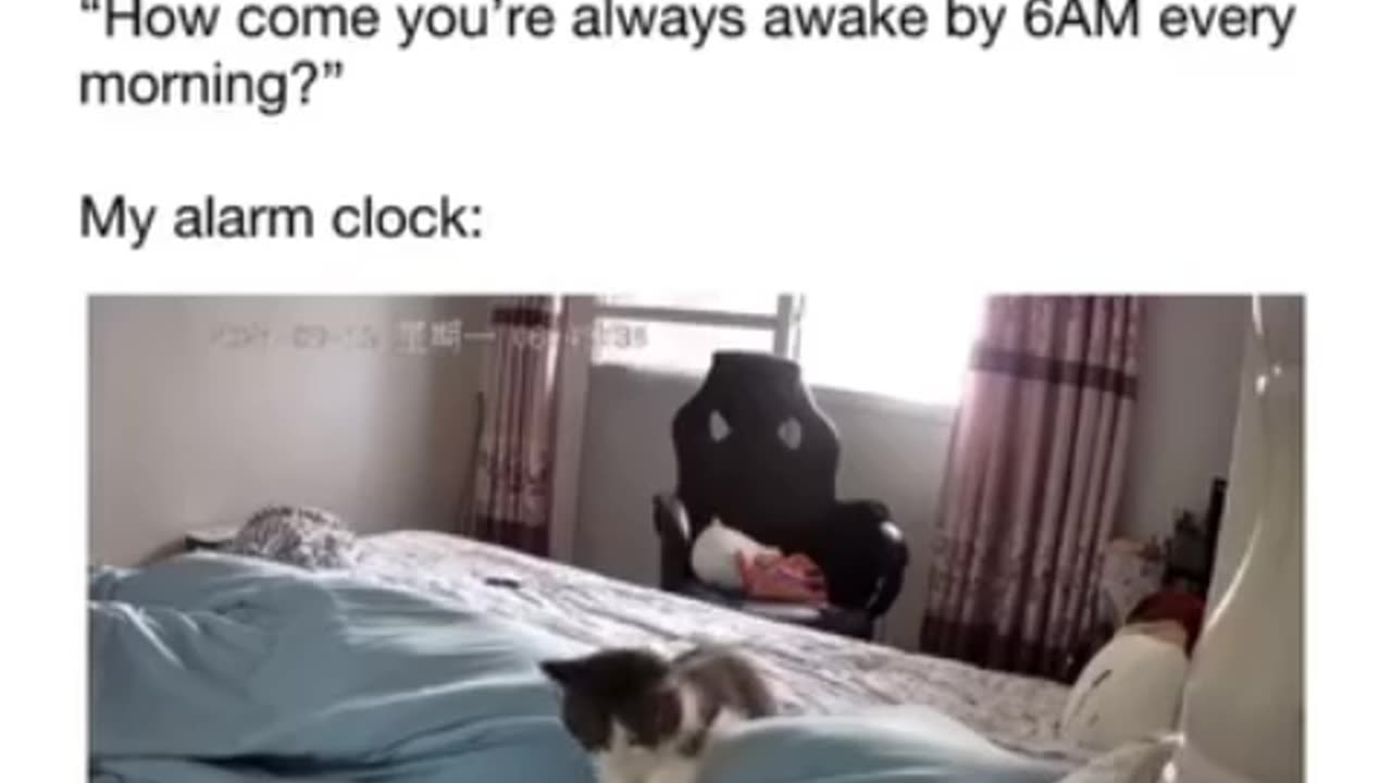 The Funny Reason I Am Always Awake By 6 AM #shorts #tiktok #comedy