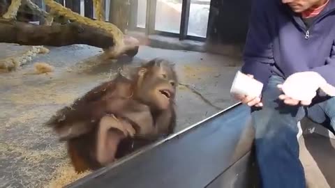 Funny Monkey & Magic