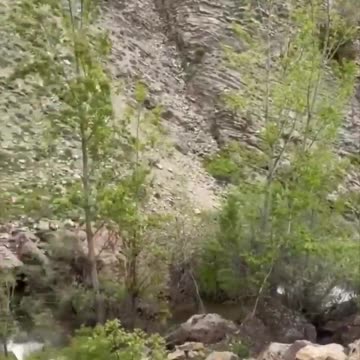 Physics apply differently to goats