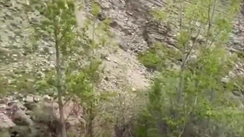 Physics apply differently to goats