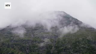 Jungle Survival: Nature’s Harshest Lessons