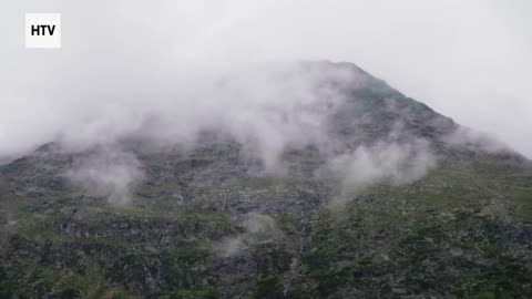 Jungle Survival: Nature’s Harshest Lessons