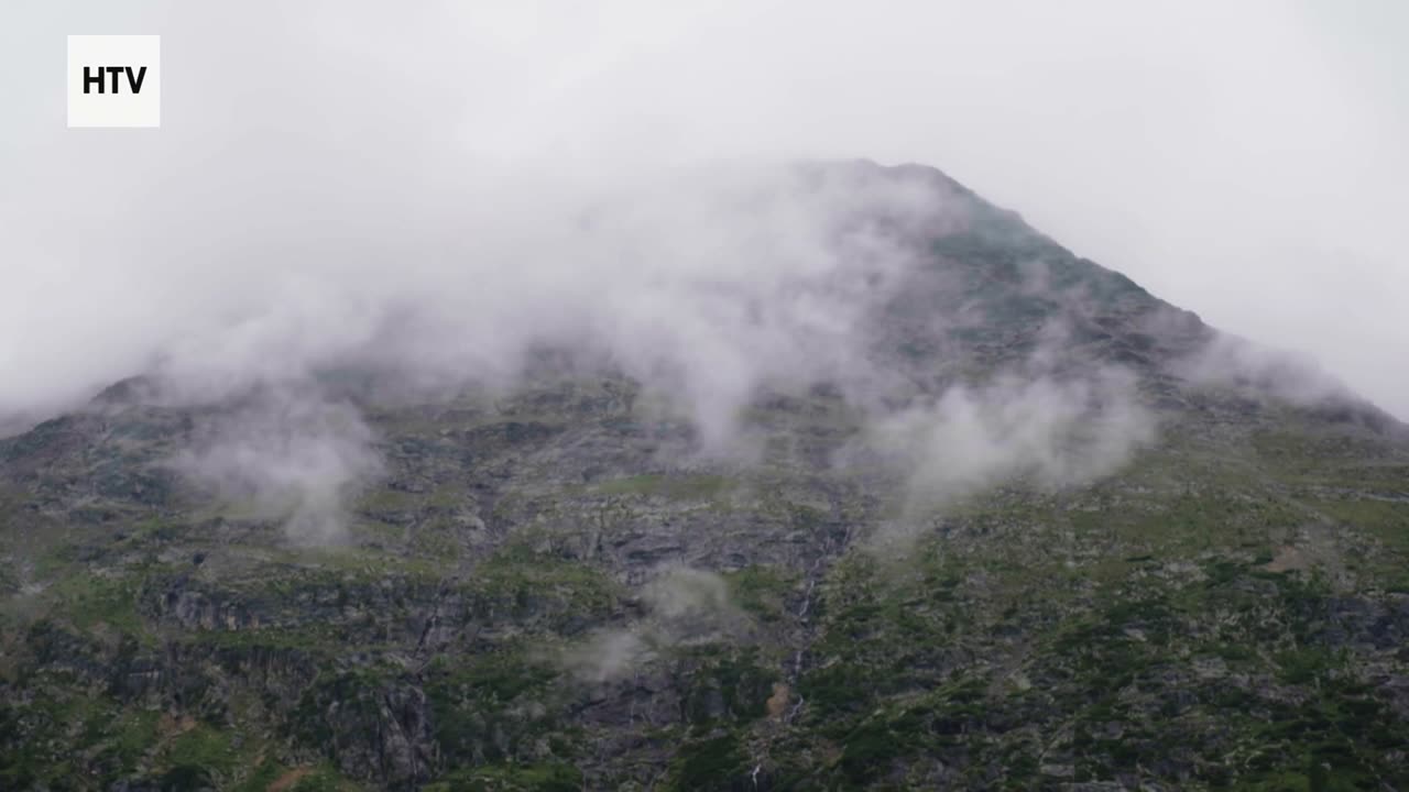 Jungle Survival: Nature’s Harshest Lessons