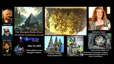 SHUNGITE REALITY 5/13/25 - Katharine Tacon Bees & Shungite Trip