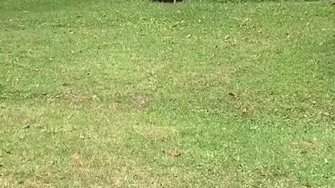 Excited To See You