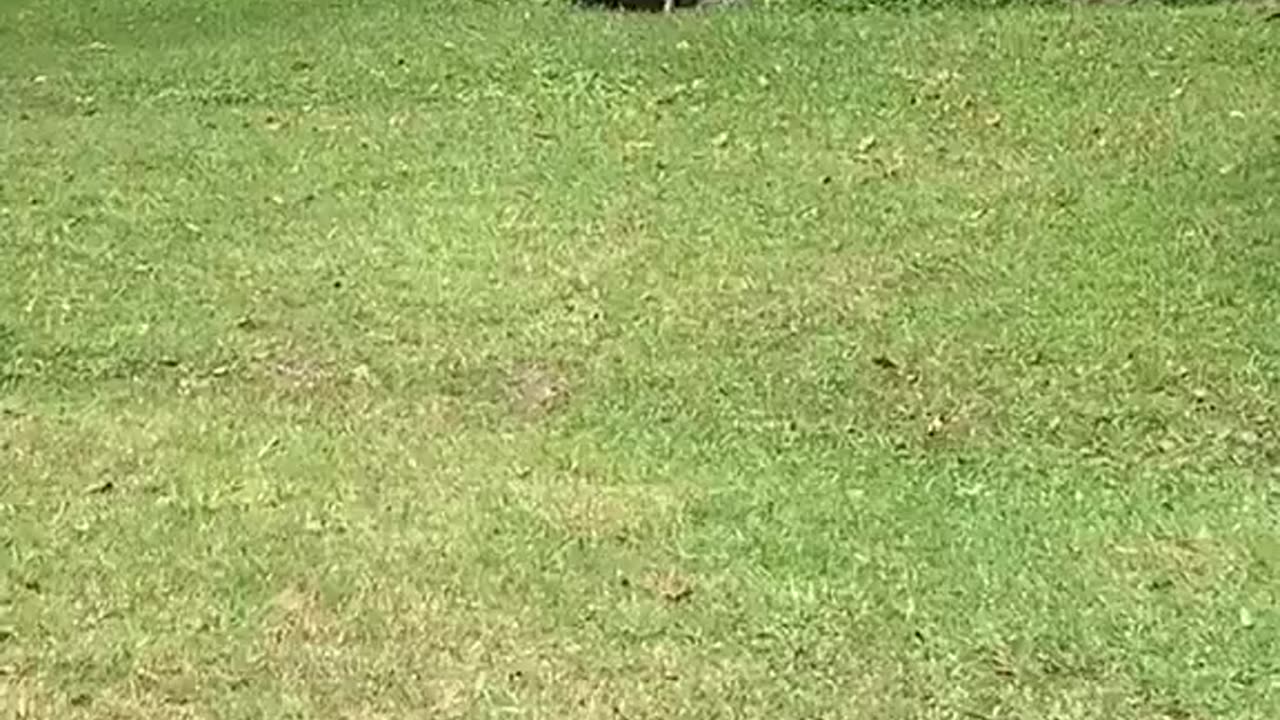 Excited To See You
