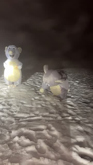 Funny 40 Year Olds in Rat Costumes