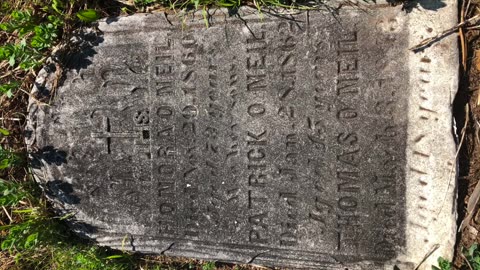 Ryan’s Farm Graveyard In The Woods, May 27, 2020