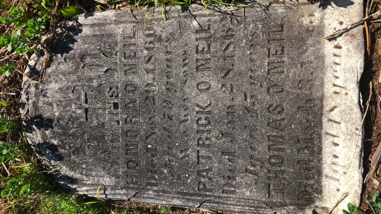 Ryan’s Farm Graveyard In The Woods, May 27, 2020