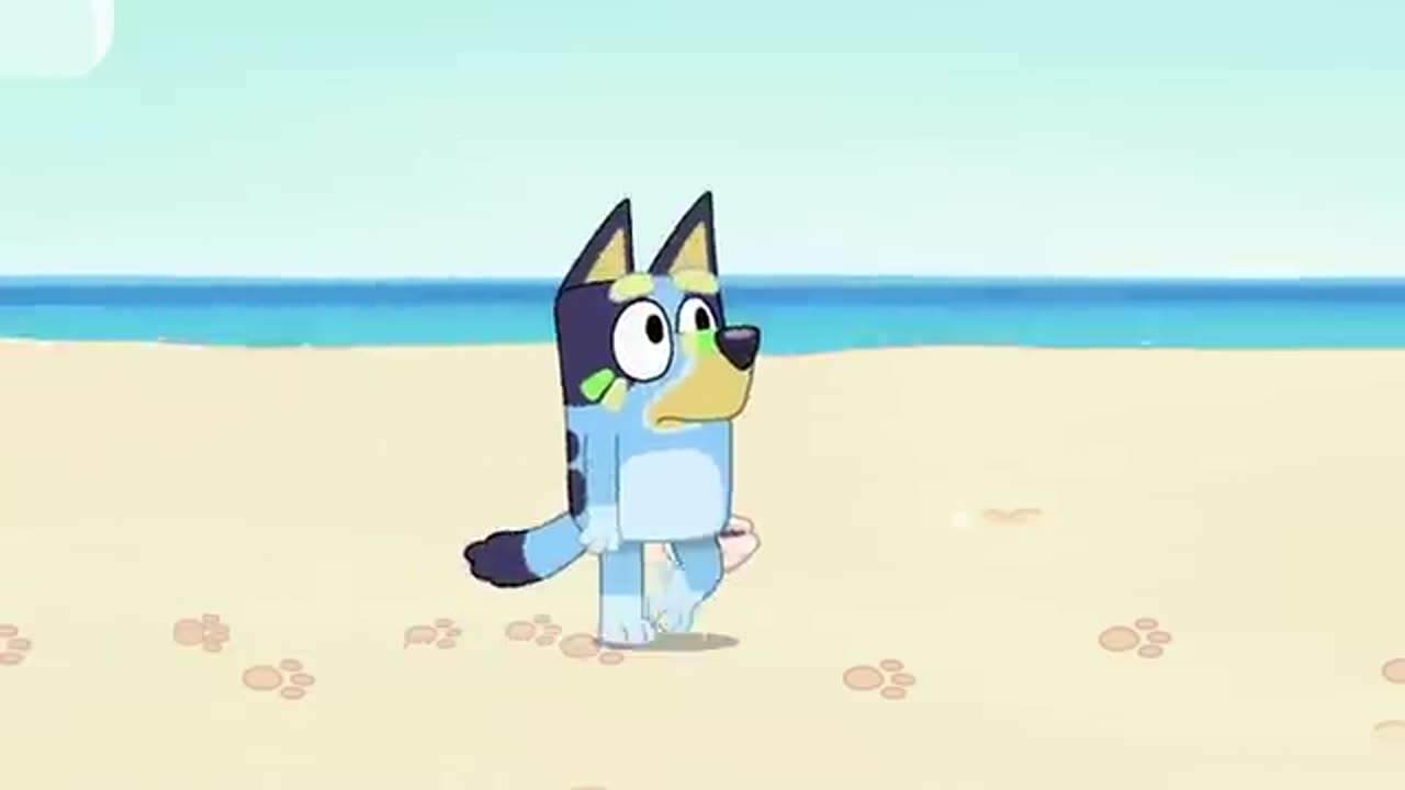 Complete Episodes of Bluey's Sunny Adventure ☀️ | With the Beach, Pool, and More! | Bluey
