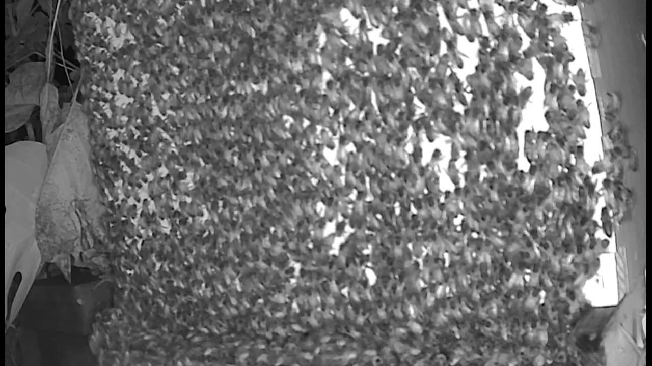 Saturday Morning Peek