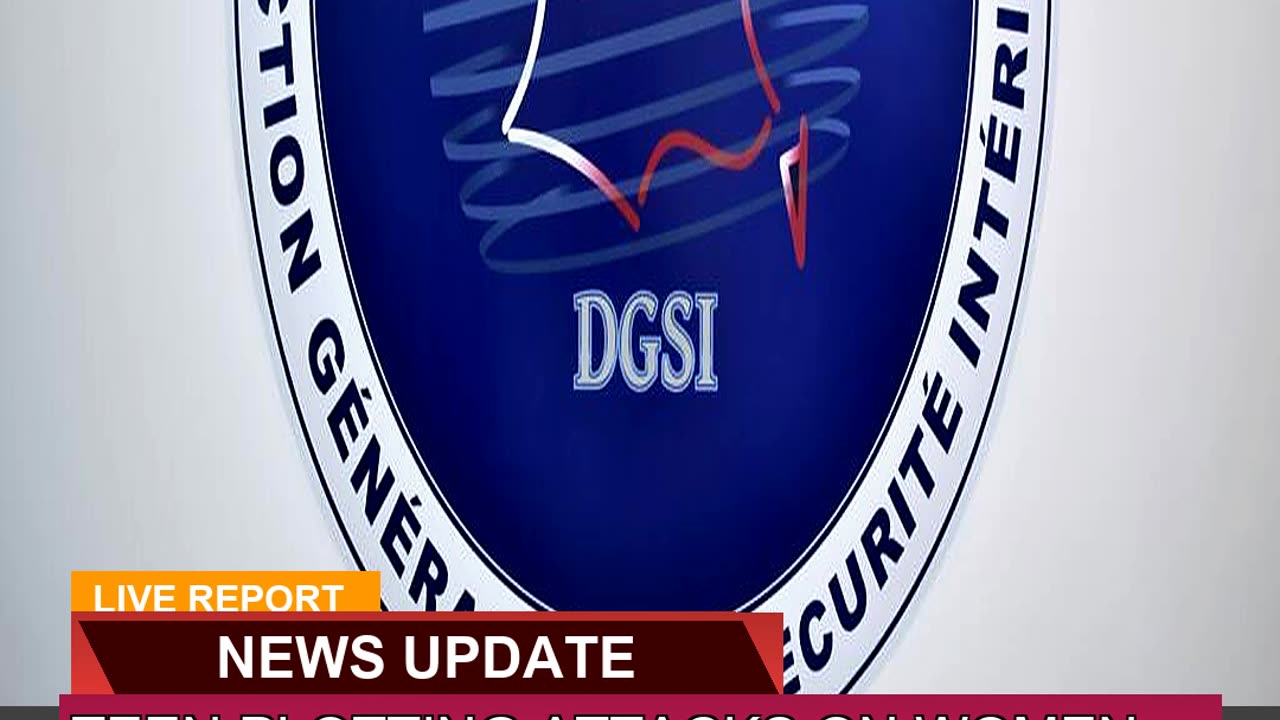 Teen Plotting Attacks on Women Charged in Frances