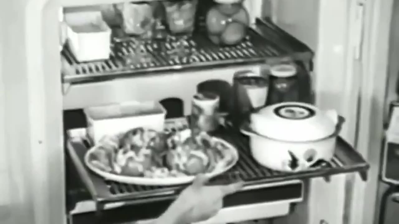1956年と1963年の冷蔵庫には、もっとたくさんの機能が搭載されています - 1