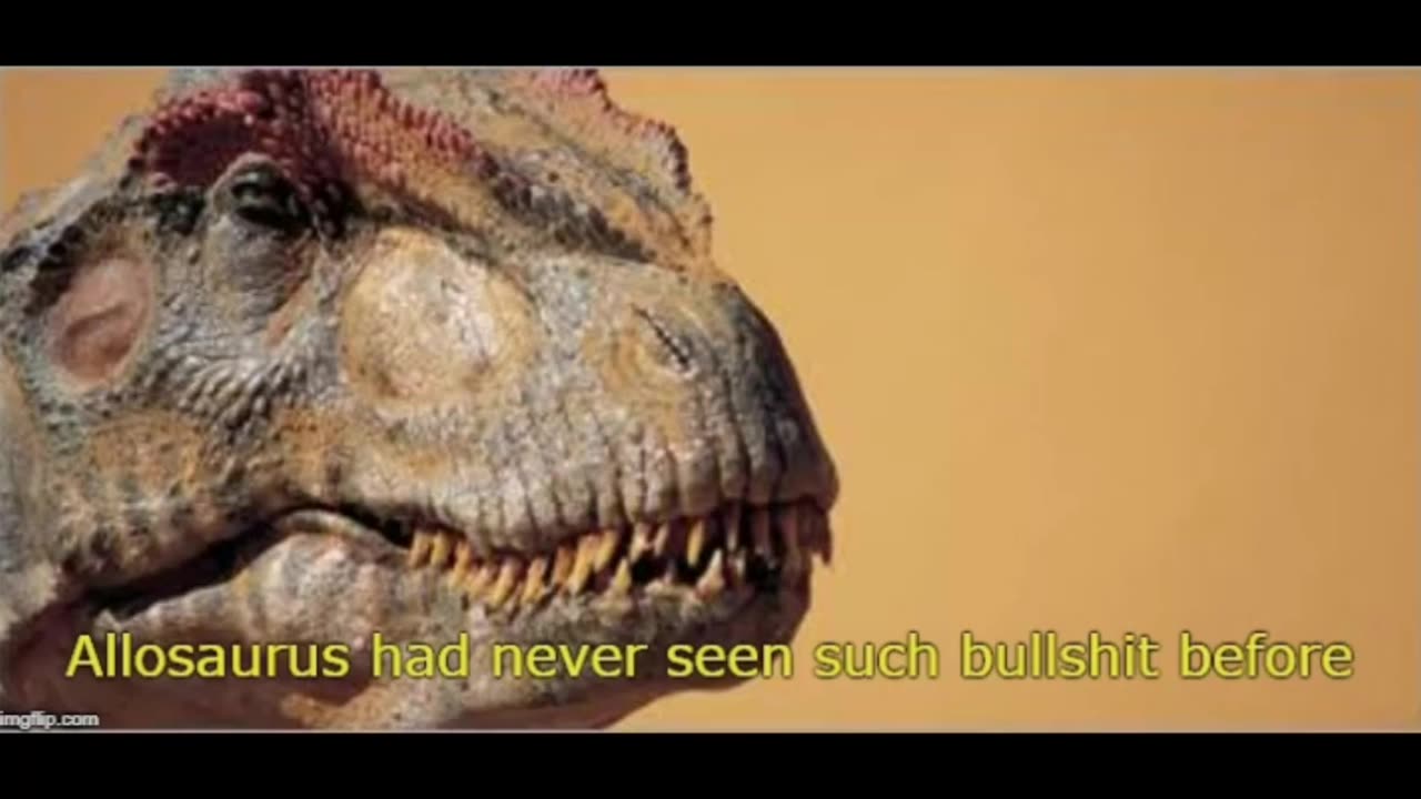 Allosaurs