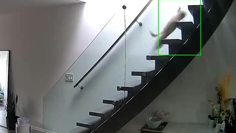 😍😍😘🔥 😍💦 FUNNY Animals and pet's💕😘 😘🔥 💕😘 😍💦 💦