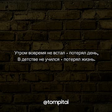 Утром вовремя не встал - потерял день, В детстве не учился - потерял жизнь. ⁨@tompitai⁩
