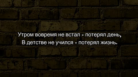 Утром вовремя не встал - потерял день, В детстве не учился - потерял жизнь. ⁨@tompitai⁩