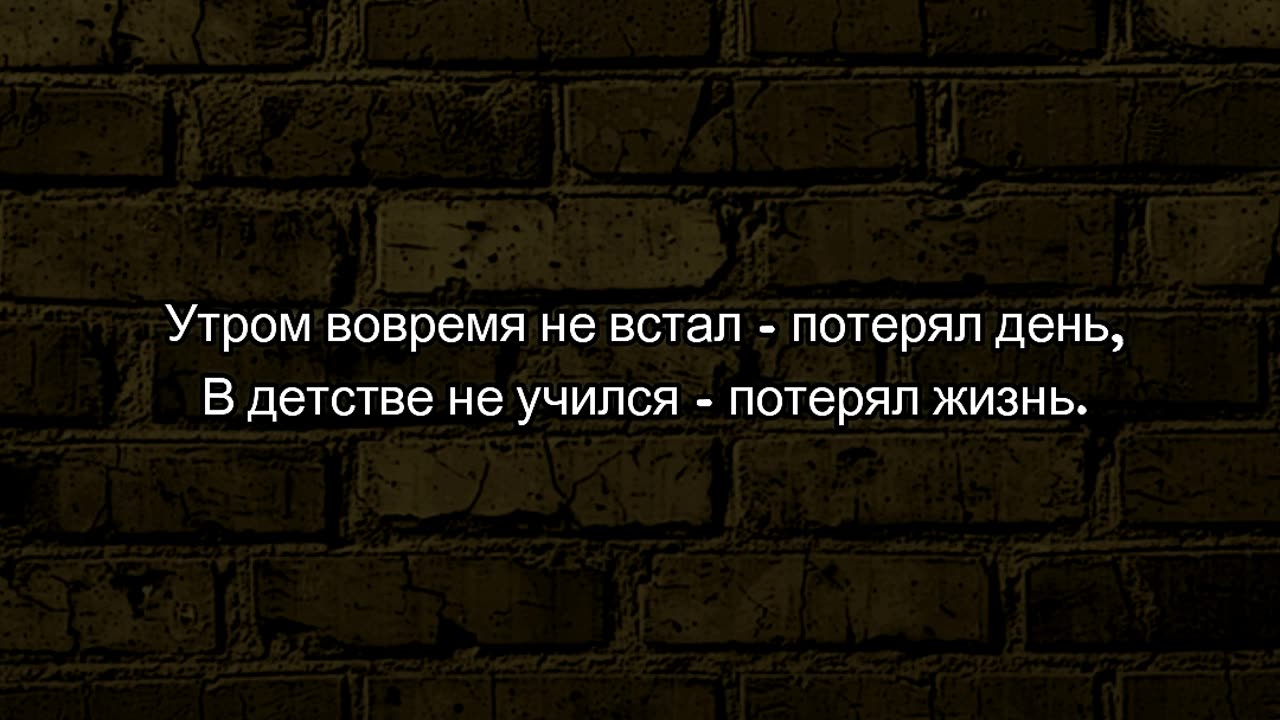 Утром вовремя не встал - потерял день, В детстве не учился - потерял жизнь. @tompitai