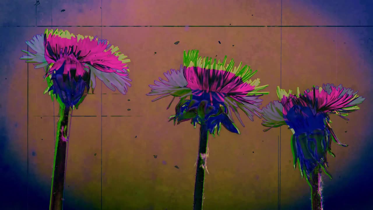 The Treasure (short poem)