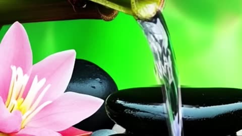 Whispers of Flowing Bamboo