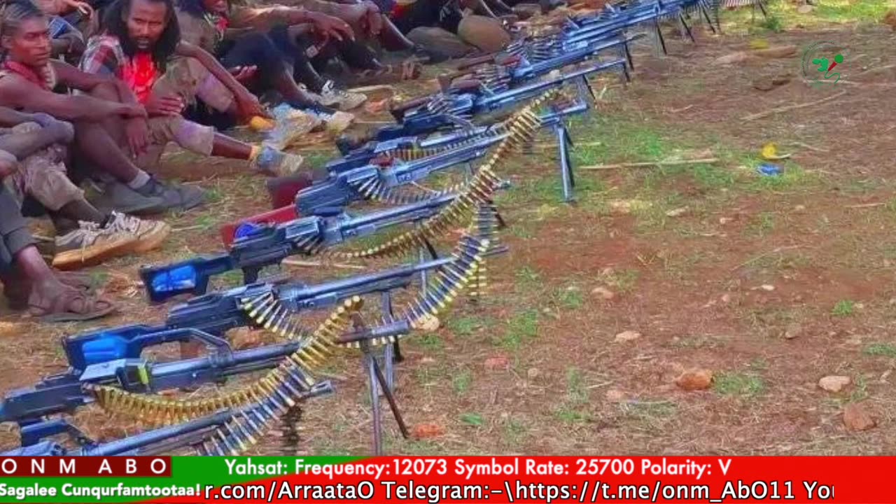 Gabaasa Tarkaanfii ONM-ABO Fulbaana 9-2025 itti dhiyaadhaa!