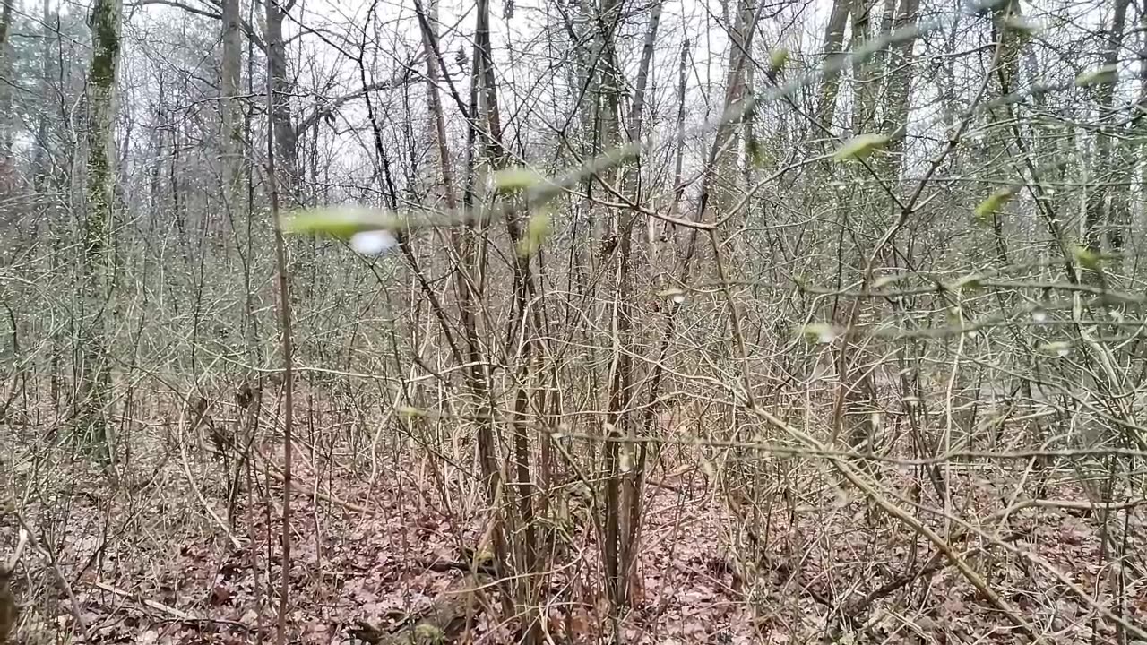 jakie To męczące ...