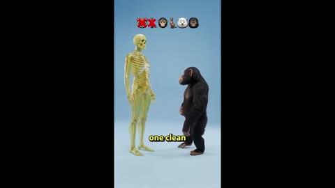 Up against a human.... Power of animals