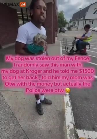 Womans Dog Is Stolen From Her Home So She Put Flyers Up Around Town When This Creepnigger Showed Up