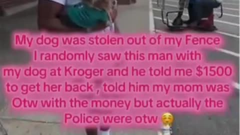 Womans Dog Is Stolen From Her Home So She Put Flyers Up Around Town When This Creepnigger Showed Up