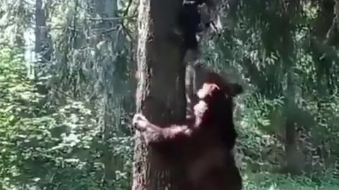 That’s a near-death experience.