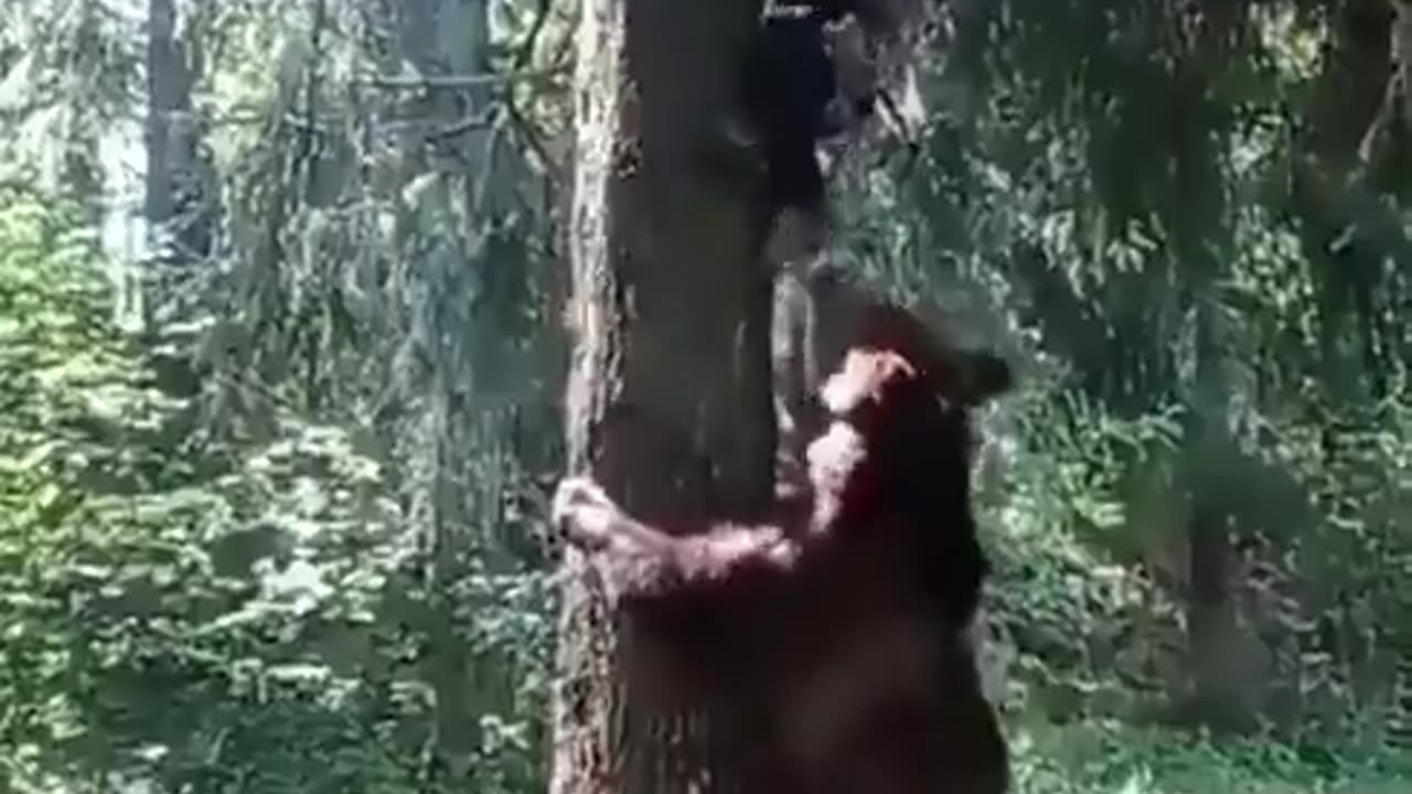 That’s a near-death experience.