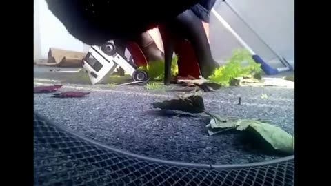 Candid Flower Crush Under High Heels