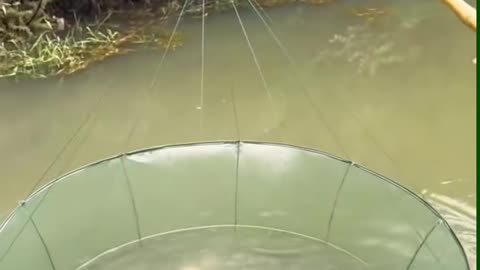 💡✨ A Clever Hack You'll Wish You Knew Sooner | LifeHacksDaily