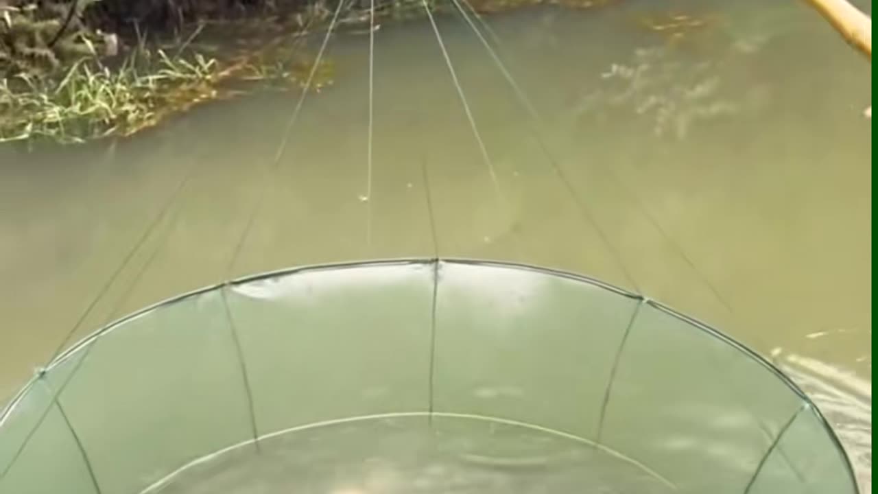 💡✨ A Clever Hack You'll Wish You Knew Sooner | LifeHacksDaily