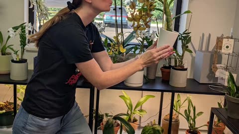 🤔🌸 You Won't Believe How Men Pose with Orchids on Tinder! | FunFM
