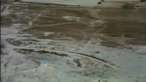 HORROR - Deadly Harvest (1977) FILM