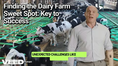 Finding the Sweet Spot:Unlocking the Key to Dairy Farm Success