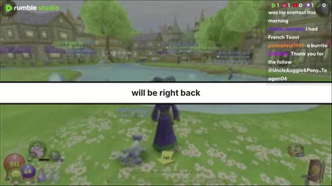 Wizard now on NS and the return of pet training and and more