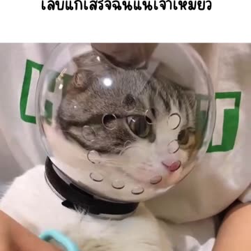 เล็บแกเสร็จฉันแน่เจ้าเหมียว