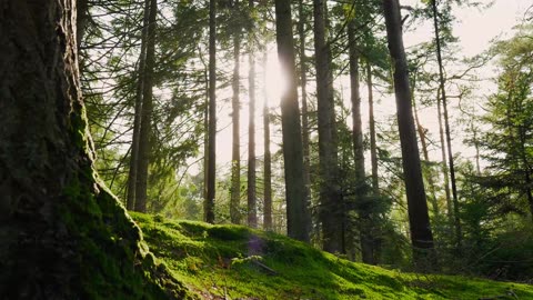 "The question isn’t who is going to let me; it’s who is going to stop me."