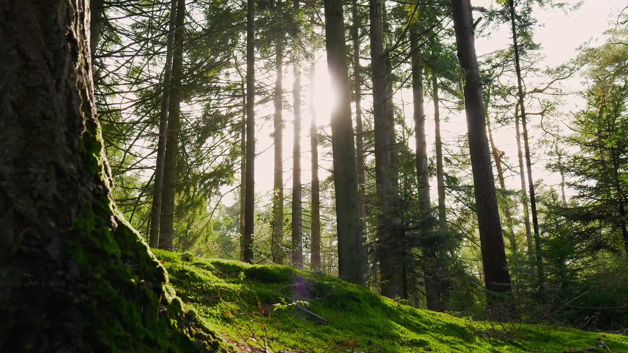 "The question isn’t who is going to let me; it’s who is going to stop me."