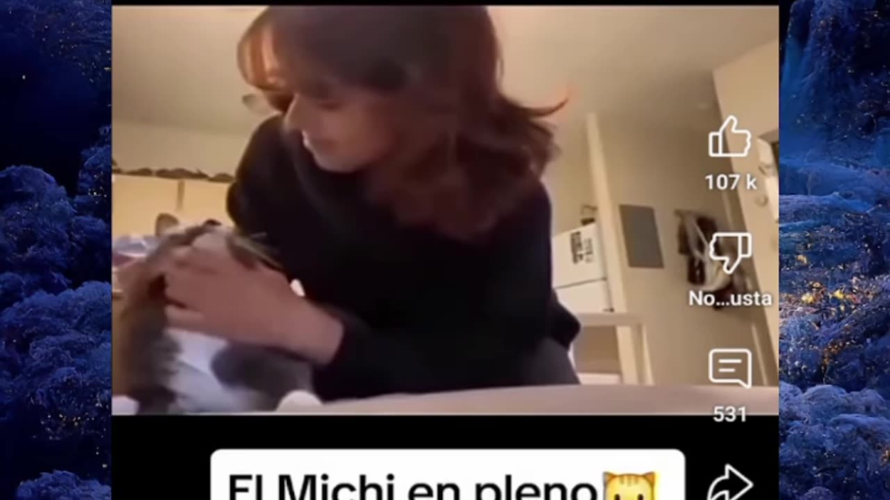 Just shorts videos 😜😜😜!!!