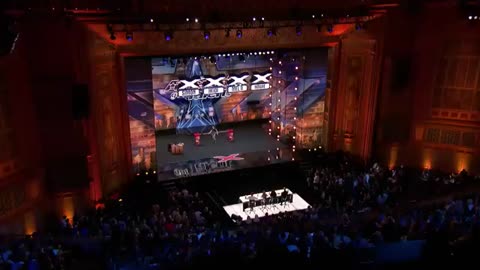 Trending: The Savitsky Cats: Super Trained Cats Perform Exciting Routine - Ameri