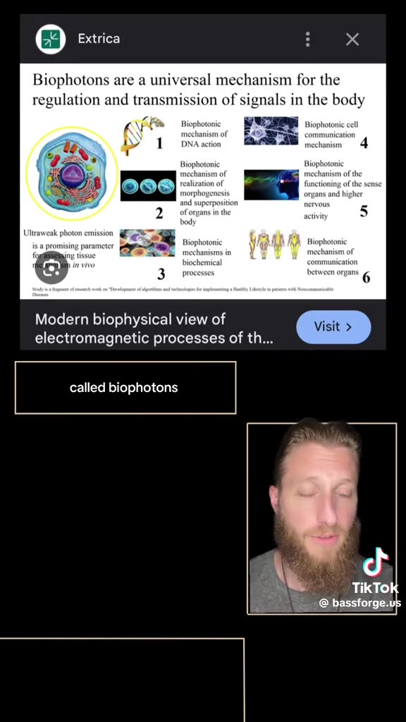 Stars May Actually Be Entities